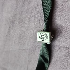 Pandora Teacher study books charm